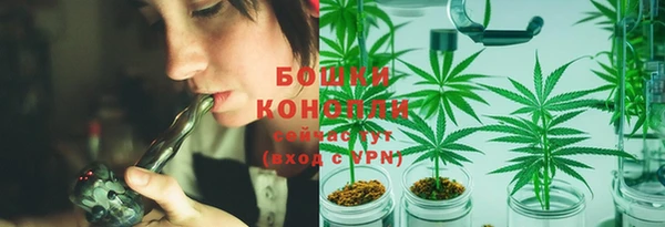 ешки Новодвинск
