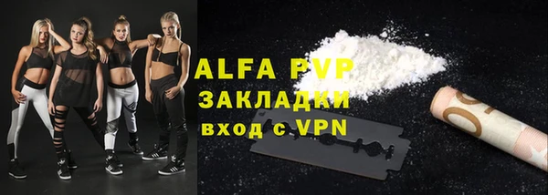 ешки Новодвинск