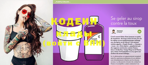 ешки Новодвинск