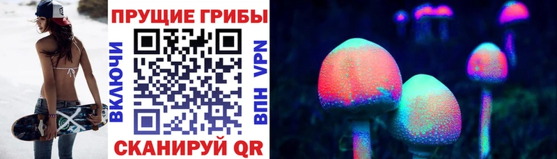 Галлюциногенные грибы Psilocybine cubensis наркотики Слюдянка